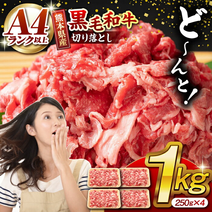 熊本県産 黒毛和牛 切り落とし 計約1kg (約250g×4P)[有限会社九州食肉産業]