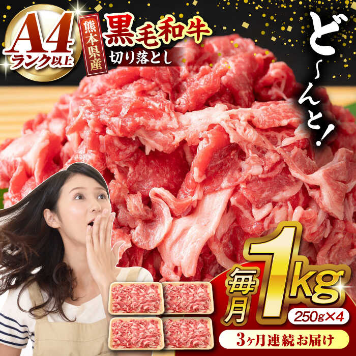 【ふるさと納税】【3回定期便】熊本県産 黒毛和牛 切り落とし 計約1kg (約250g×4P)【有限会社九州食肉産業】[ZDQ032]