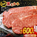【ふるさと納税】【3回定期便】熊本県産 黒毛和牛 サーロイン ステーキ 3枚 約600g 牛肉 ステーキ 国産 和牛 A4ランク以上 A4 A5 冷凍 肉 サー...