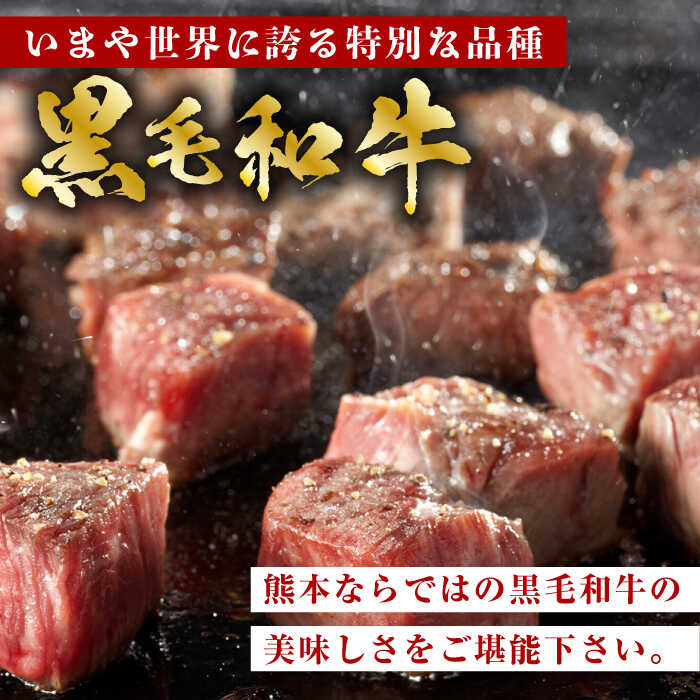 【ふるさと納税】【数量限定】【12回定期便】熊本県産 黒毛和牛 もも 食べ比べ セット 約1kg【九州食肉産業】[ZDQ058]