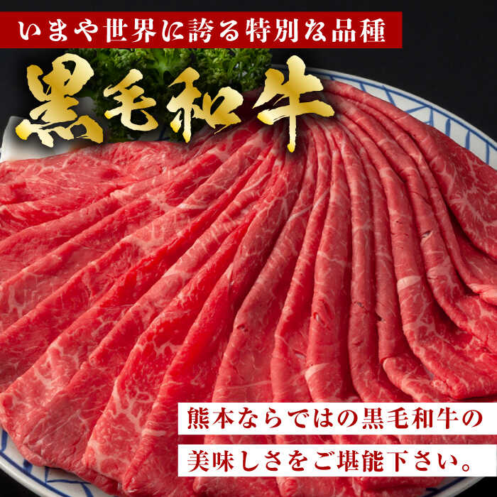 【ふるさと納税】【3回定期便】熊本県産 黒毛和牛 もも スライス 約 400g【有限会社 九州食肉産業】[ZDQ067]