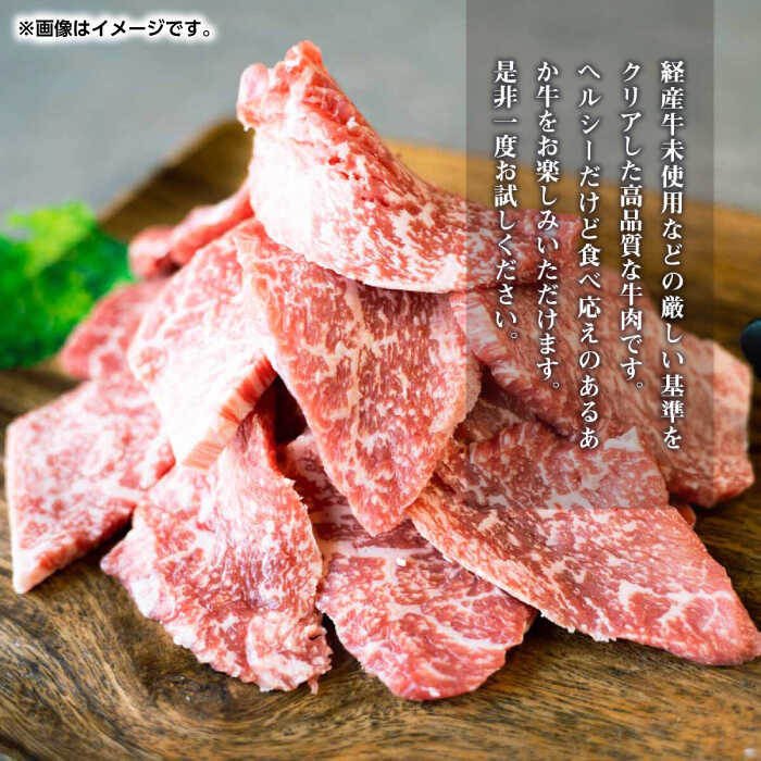 【ふるさと納税】GI認証 あか牛 焼肉 用 切り落とし 600g【くまふる】[ZDX036]