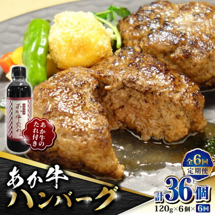 【数量限定】【全6回定期便】あか牛 100％ハンバーグ セット 120g×6個【有限会社 三協畜産】[ZEB066]