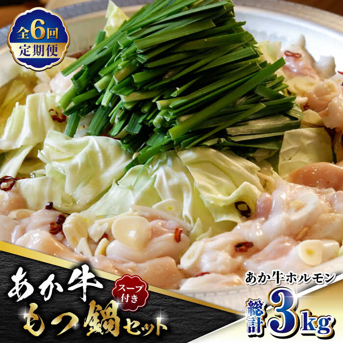 【ふるさと納税】【数量限定】【全6回定期便】熊本県産 あか牛 もつ鍋セット 500g【有限会社 三協畜産】[ZEB071]