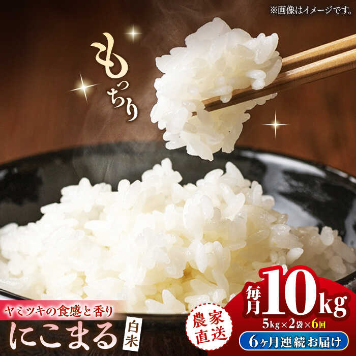 【6回定期便】にこまる 白米 計10kg（5kg×2袋）【竹下農園】[ZEL009] 白米 米 おすすめ 人気 ランキング ブランド 量 口コミ 評判 名水 百選 国産 九州 熊本県 山鹿 コスパ 米 こめ ご飯 ごはん ライス お取り寄せ 事業者応援 特産品 送料無料