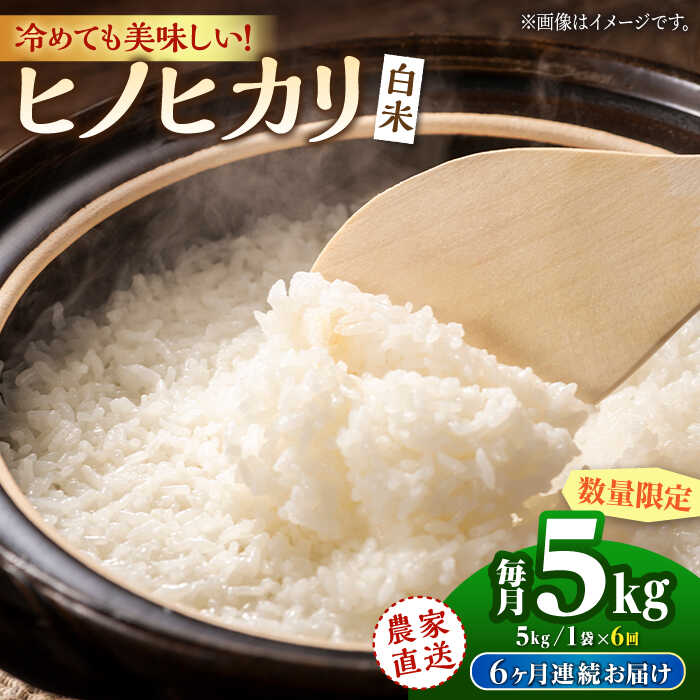 【先行予約】【6回定期便】ヒノヒカリ 白米 5kg【竹下農園】[ZEL017] 白米 米 おすすめ 人気 ランキング ブランド 量 口コミ 評判 ひのひかり 名水 百選 国産 九州 熊本県 山鹿 コスパ 米 こめ ご飯 ごはん おにぎり 弁当 お取り寄せ 事業者応援