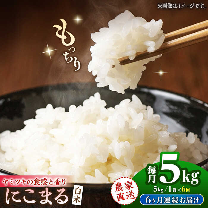 【6回定期便】にこまる 白米 5kg【竹下農園】[ZEL020] 白米 米 おすすめ 人気 ランキング ブランド 量 口コミ 評判 名水 百選 国産 九州 熊本県 山鹿 コスパ 米 こめ ご飯 ごはん ライス コメ お取り寄せ 事業者応援 特産品 返礼品 送料無料