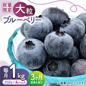 【ふるさと納税】【数量限定】【3回定期便】【先行予約】大粒 ブルーベリー 1000g（125g×8pc） 【すみれファーム】[ZEP005]