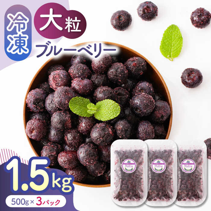 【ふるさと納税】大粒 冷凍ブルーベリー 1500g（500g