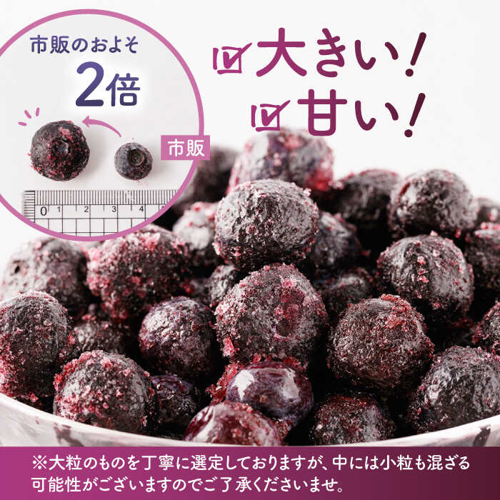 【ふるさと納税】【3回定期便】大粒 冷凍ブルーベリー 1000g（500g×2pc）【すみれファーム】[ZEP010]