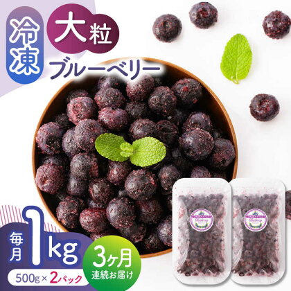 【3回定期便】大粒 冷凍ブルーベリー 1000g（500g×2pc）【すみれファーム】[ZEP010]