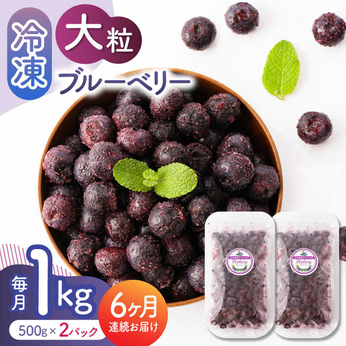 【ふるさと納税】【6回定期便】大粒 冷凍ブルーベリー 1000g（500g×2pc）【すみれファーム】[ZEP011]