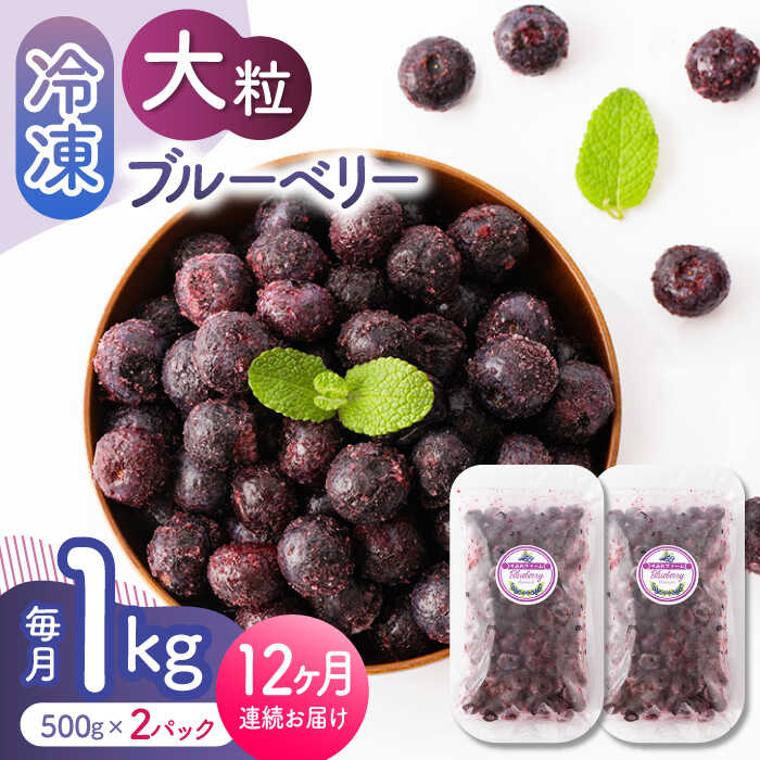 【ふるさと納税】【12回定期便】大粒 冷凍ブルーベリー 1000g 500g 2pc 【すみれファーム】[ZEP012]