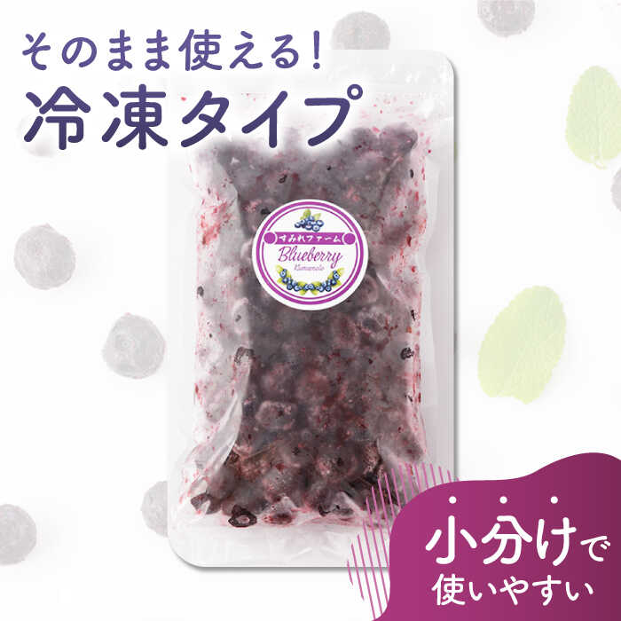 【ふるさと納税】【3回定期便】大粒 冷凍ブルーベリー 1500g（500g×3pc）【すみれファーム】[ZEP013] 3