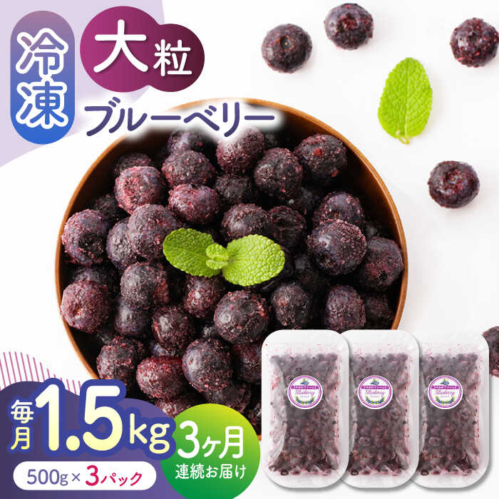 【ふるさと納税】【3回定期便】大粒 冷凍ブルーベリー 150