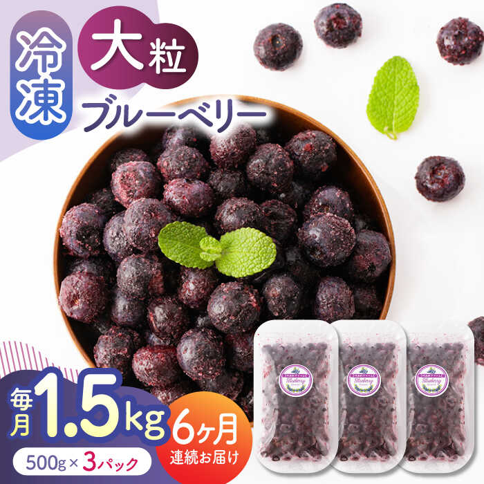 9位! 口コミ数「0件」評価「0」【6回定期便】大粒 冷凍ブルーベリー 1500g（500g×3pc） 【すみれファーム】[ZEP014]