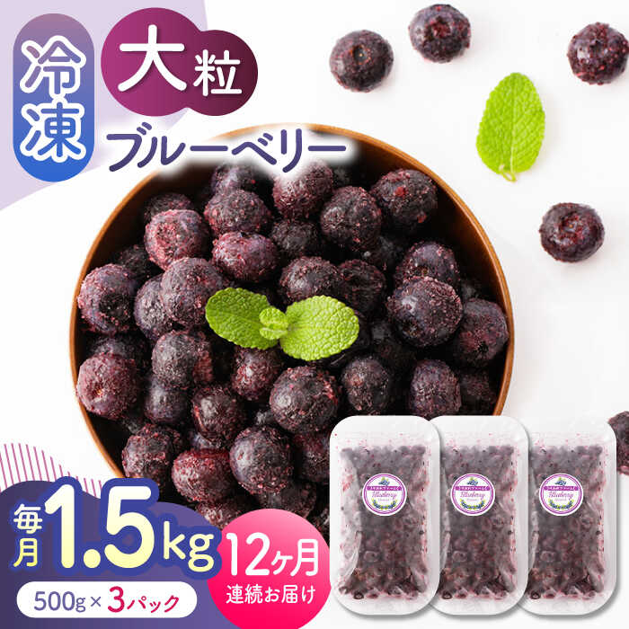 【ふるさと納税】【12回定期便】大粒 冷凍ブルーベリー 1500g（500g×3pc） 【すみれファーム】[ZEP015]