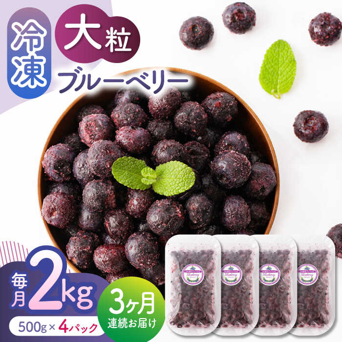 2位! 口コミ数「0件」評価「0」【3回定期便】大粒 冷凍ブルーベリー 2000g（500g×4pc） 【すみれファーム】[ZEP016]