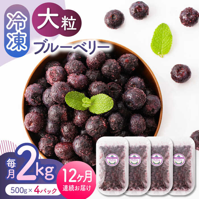 【ふるさと納税】【12回定期便】大粒 冷凍ブルーベリー 2000g（500g×4pc） 【すみれファーム】[ZEP018]