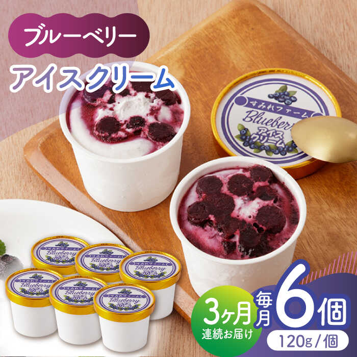 [3回定期便]ブルーベリーアイスクリーム 6個セット [すみれファーム]