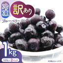 【ふるさと納税】【訳あり】 冷凍ブルーベリー 小粒 1kg（500g×2pc） 【すみれファーム】[ZEP045]