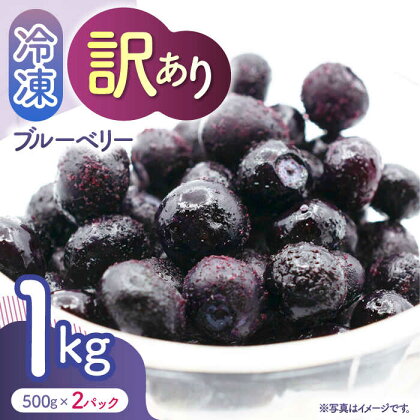 【訳あり】 冷凍ブルーベリー 小粒 1kg（500g×2pc） 【すみれファーム】[ZEP045]