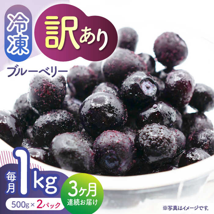 【3回定期便】【訳あり】 冷凍ブルーベリー 小粒 1kg（500g×2pc） 【すみれファーム】[ZEP048]