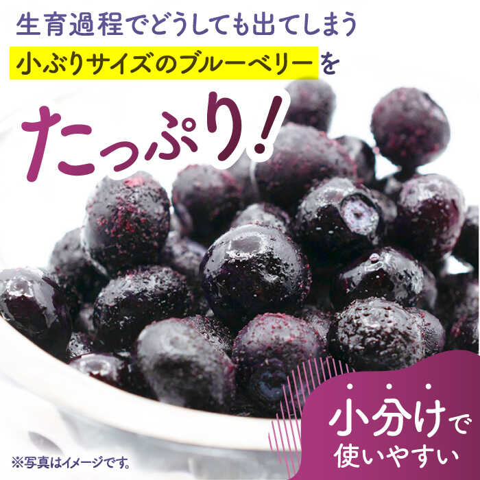 【ふるさと納税】【3回定期便】【訳あり】 冷凍ブルーベリー 小粒 1.5kg（500g×3pc） 【すみれファーム】[ZEP049]