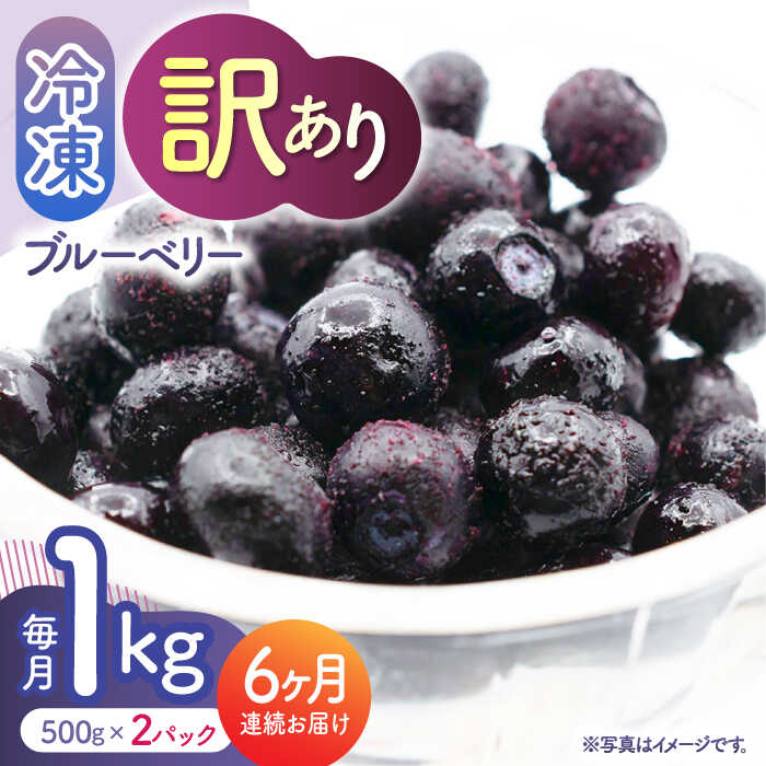 【ふるさと納税】【6回定期便】【訳あり】 冷凍ブルーベリー 小粒 1kg（500g×2pc） 【すみれファーム】[ZEP051]