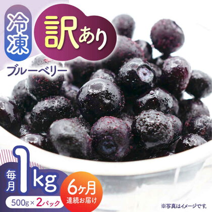 【6回定期便】【訳あり】 冷凍ブルーベリー 小粒 1kg（500g×2pc） 【すみれファーム】[ZEP051]