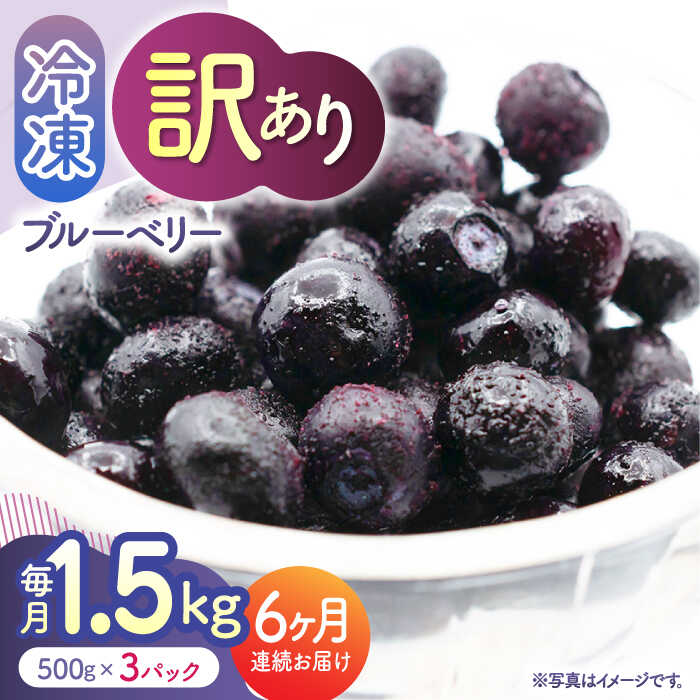 【6回定期便】【訳あり】 冷凍ブルーベリー 小粒 1.5kg（500g×3pc） 【すみれファーム】[ZEP052]