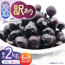 【ふるさと納税】【6回定期便】【訳あり】 冷凍ブルーベリー 小粒 2kg（500g×4pc） 【すみれファーム】[ZEP053]