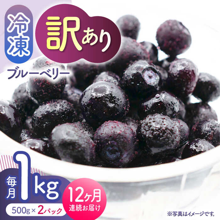 【12回定期便】【訳あり】 冷凍ブルーベリー 小粒 1kg（500g×2pc） 【すみれファーム】[ZEP054]