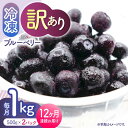 【ふるさと納税】【12回定期便】【訳あり】 冷凍ブルーベリー 小粒 1kg（500g×2pc） 【すみれファーム】[ZEP054]