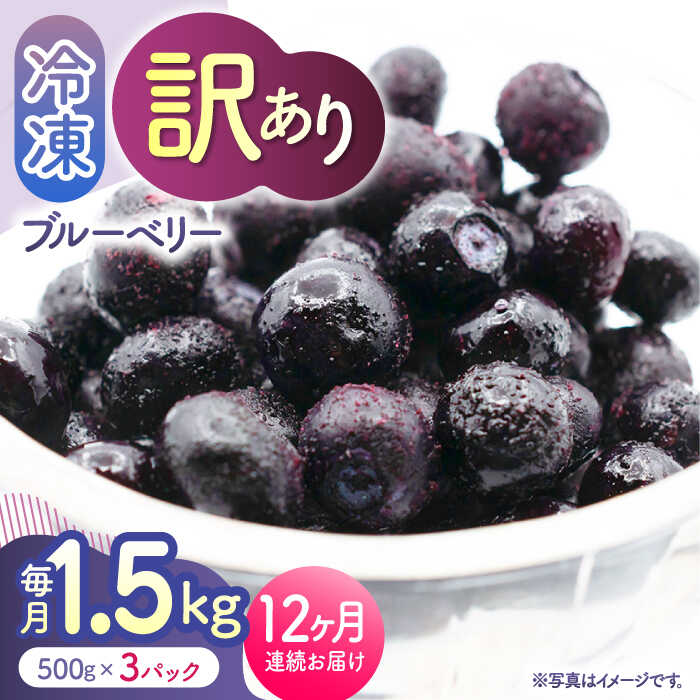 【12回定期便】【訳あり】 冷凍ブルーベリー 小粒 1.5kg（500g×3pc） 【すみれファーム】[ZEP055]