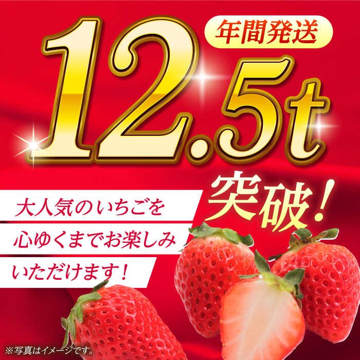 【ふるさと納税】【先行予約】大粒いちご L～2L ゆうべに 2kg（8pc）【熊本ベリー】[ZER002]