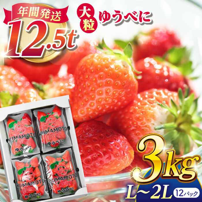 【ふるさと納税】【先行予約】大粒いちご L～2L ゆうべに 3kg（12pc）【熊本ベリー】[ZER003]