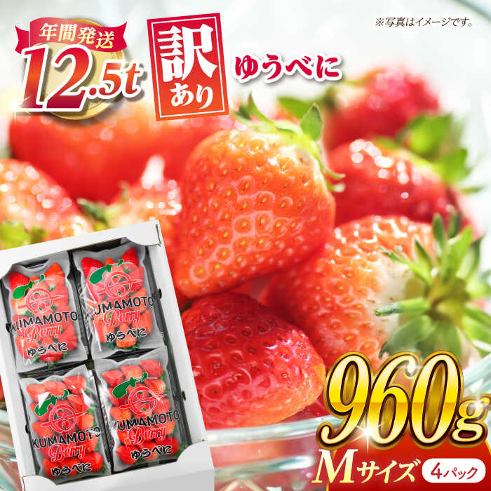 【ふるさと納税】【先行予約】【訳あり】いちご Mサイズ ゆうべに 960g（4pc）【熊本ベリー】[ZER007]