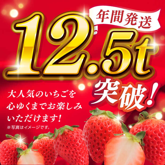 【ふるさと納税】冷凍 いちご ゆうべに 約4kg【熊本ベリー】[ZER015]