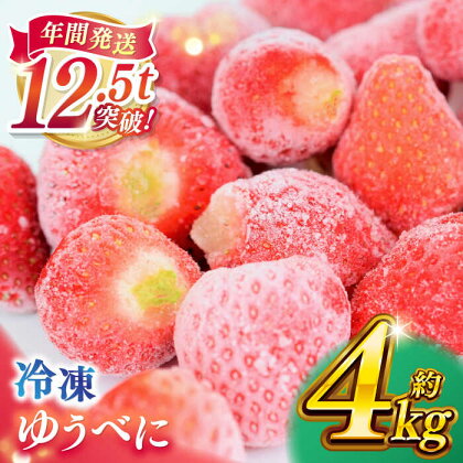 冷凍 いちご ゆうべに 約4kg【熊本ベリー】[ZER015]