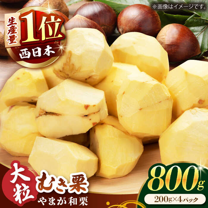 ڤդ뤵Ǽǡۡͽۤޤ· γभ 800g200g4pc˾ʬڸ[ZES001]