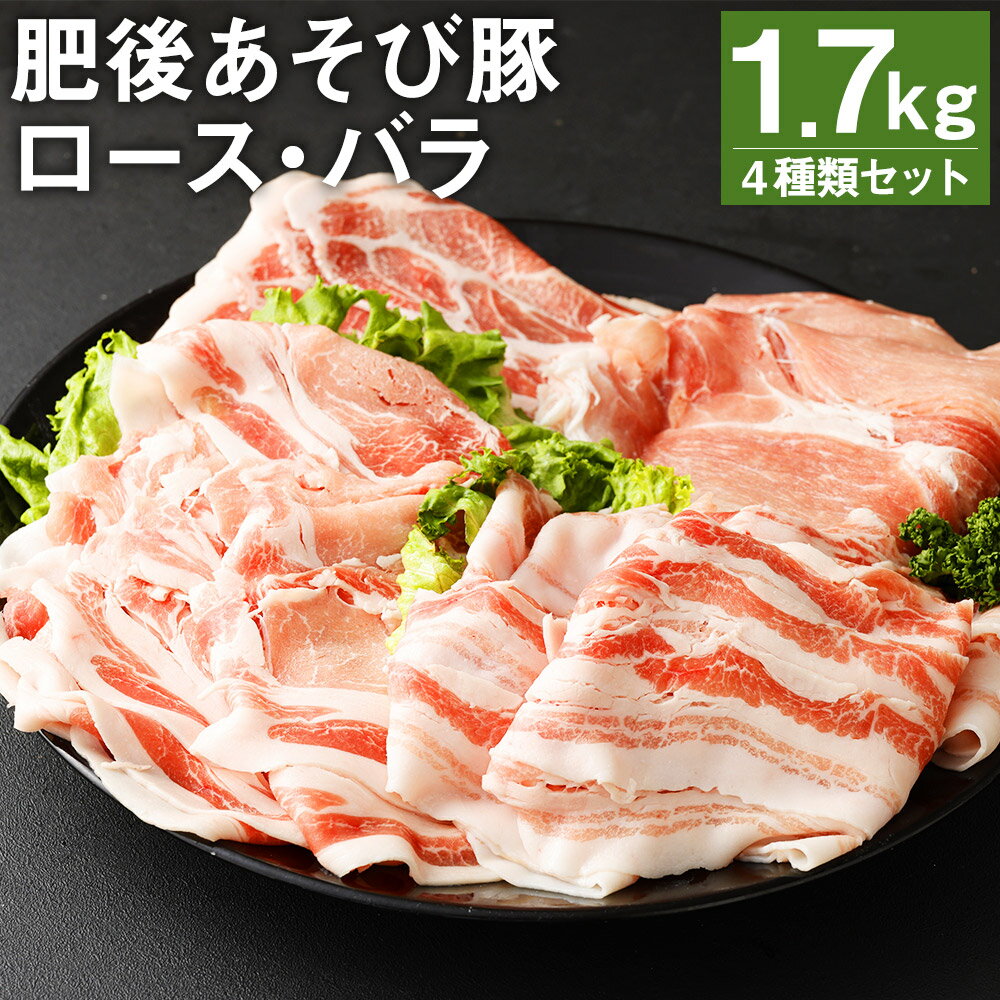 肥後あそび豚 ロース・バラスライス詰合せ 合計1.7kg 4種類 ぶた ブタ 豚肉 肉 ブランド豚 ロース肉 バラ肉 肩ロース 切り落とし スライス 国産 九州産 熊本県産 菊池市産 セット 詰め合わせ 冷凍 送料無料