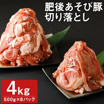 肥後あそび豚 切落し 500g×8パック 合計4kg ぶた ブタ 豚肉 肉 ブランド豚 切り落とし 国産 九州産 熊本県産 菊池市産 冷凍 送料無料