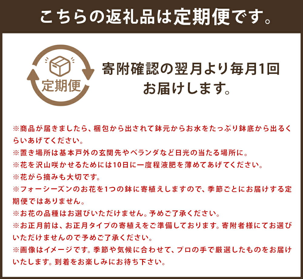 【ふるさと納税】【定期便】フォーシーズン お花の寄せ植え 3ヶ月/6ヶ月/12ヶ月 定期便 花 鉢花 鉢植え 観葉植物 植物 インテリア ガーデン 雑貨 送料無料