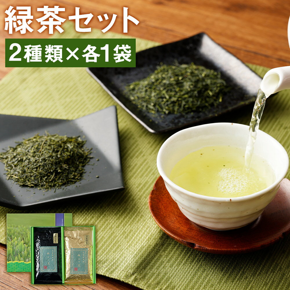 特上ギフト(さえみどり・つゆひかり)セット 100g×各1パック 合計200g お茶 緑茶 茶葉 2種類 セット ギフト 贈り物 国産 九州産 熊本県産 菊池市産 送料無料