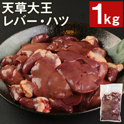 天草大王 レバー・ハツ 1kg 鶏肉 セット おつまみ 焼き鳥 炒めもの 熊本県産 九州産 国産 冷凍 送料無料