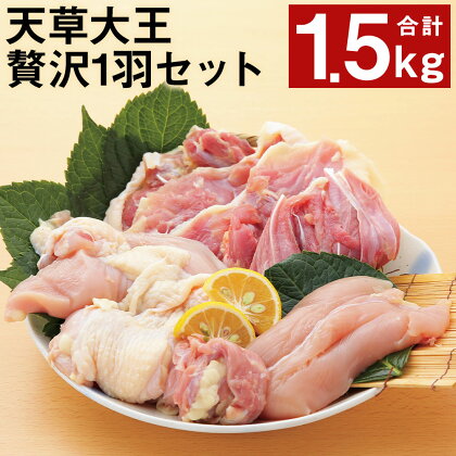 天草大王 贅沢1羽セット 計1.5kg 3種類 鶏肉 精肉 お肉 もも肉 むね肉 ささみ 熊本県産 九州産 国産 冷凍 送料無料