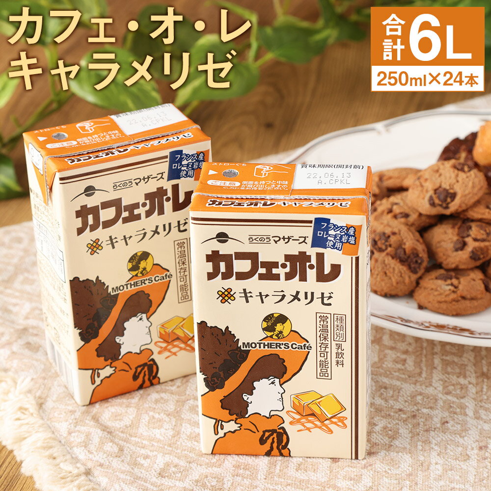 カフェオレ キャラメリゼ 250ml×24本 1ケース コーヒー牛乳 カフェ・オ・レ キャラメル 乳飲料 乳性飲料 コーヒー入り清涼飲料水 らくのうマザーズ ドリンク 飲み物 飲料 セット 紙パック 常温保存可能 ロングライフ 熊本県産 送料無料