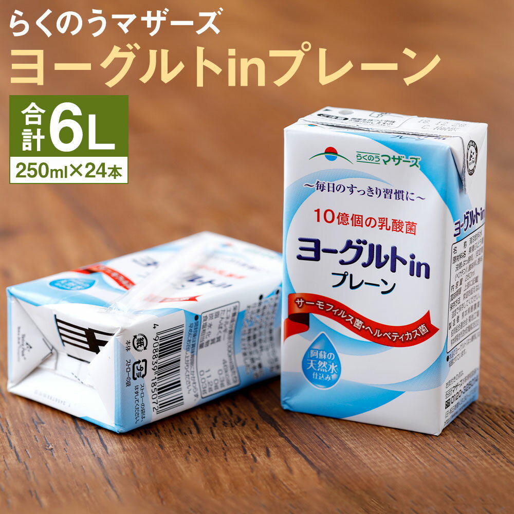 【ふるさと納税】ヨーグルトinプレーン 24本 250ml×24本 1ケース 乳酸菌 ヨーグルト プレーン 乳酸菌...