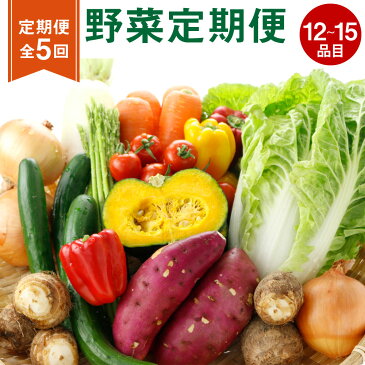 【ふるさと納税】【定期便5回】野菜定期便 12品〜15品 【メロンドーム】 野菜 詰め合わせ セット 品種おまかせ ランダム 定期便 5ヶ月お届け 春 旬 春野菜 送料無料